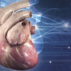 Cardiology 3D Small Animals