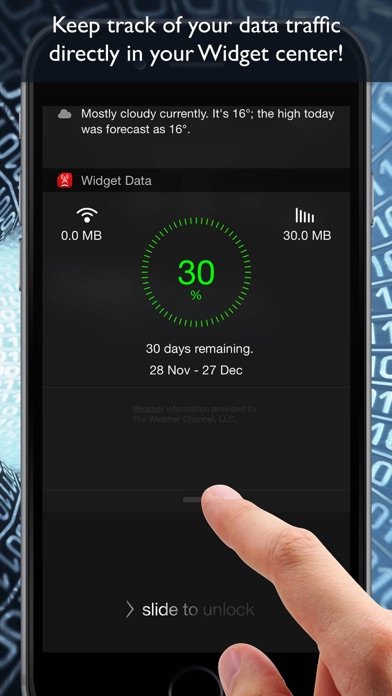 Widget Data Cellular (monitor data usage of your plan) Screenshot 2