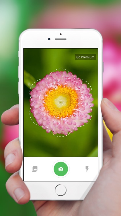 Plant Identification ++ screenshot-7