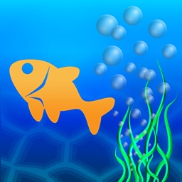 Aquarium HD : Fish Scenes