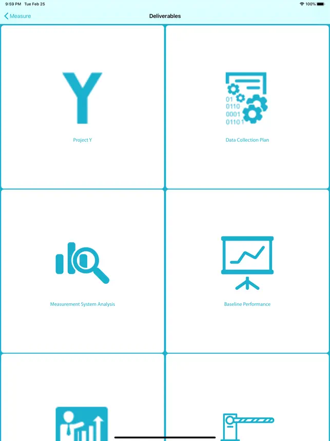 Captura de Pantalla 3 Lean Six Sigma Companion iphone