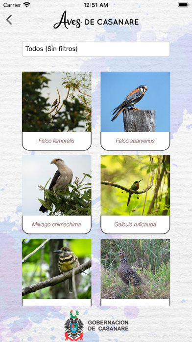 Aves de Casanare screenshot 2