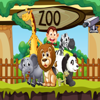Zoo Virtual Visit