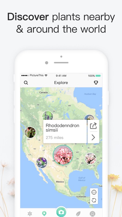 PictureThis - Plant identifier screenshot-3