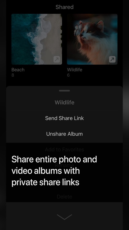 Photos+ Cloud Library screenshot-3