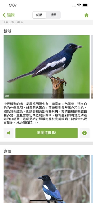 Merlin 鳥種識別 by Cornell Lab(圖6)-速報App