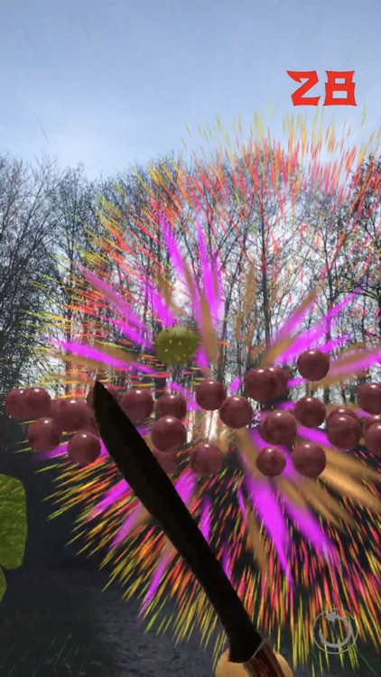 Fruit Warrior AR screenshot-6