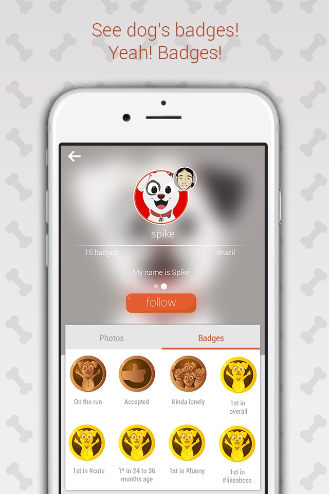 Hashdog - Rede Social de cães screenshot 4