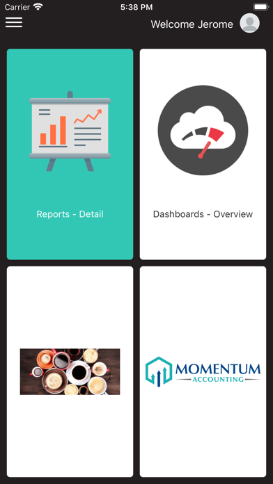 Momentum Accounting screenshot 2