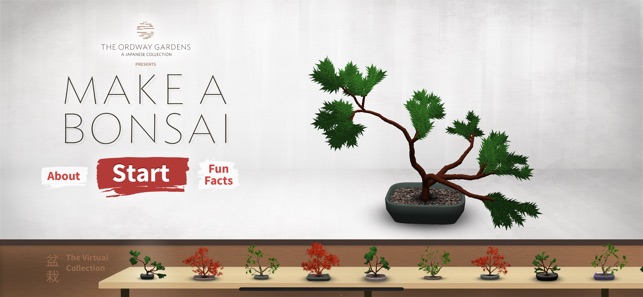 Make a Bonsai