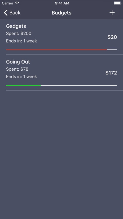Debit & Credit screenshot-4