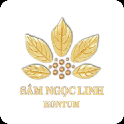 NOLIKO: Sâm Ngọc Linh KonTum Читы