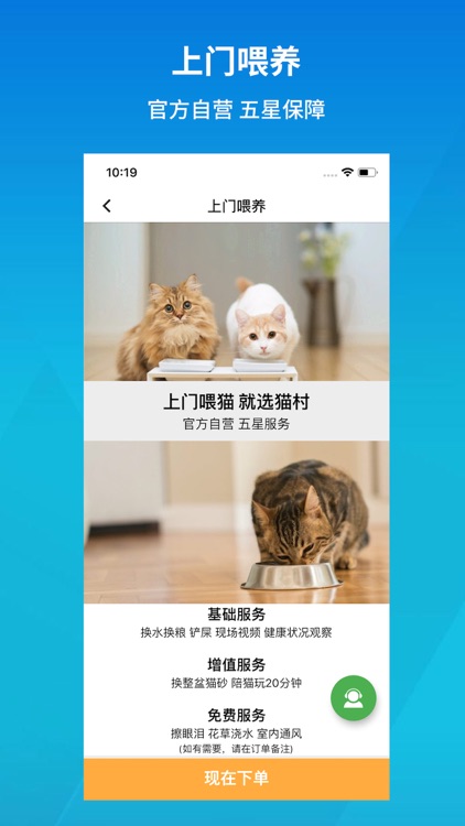 猫村-有爱的宠物猫咪社区