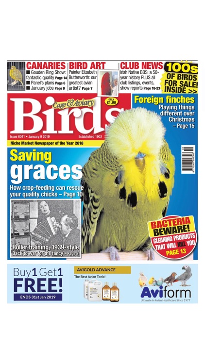 Cage & Aviary Birds
