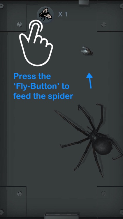 Spider Pet - Creepy Widow