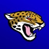 Navarre Middle School Jaguars