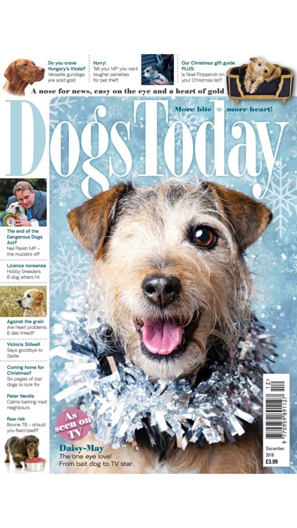 Dogs Today Magazine