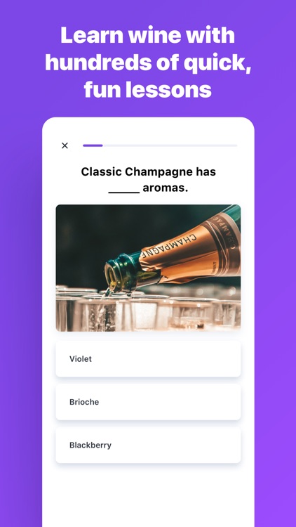 True Wine screenshot-0