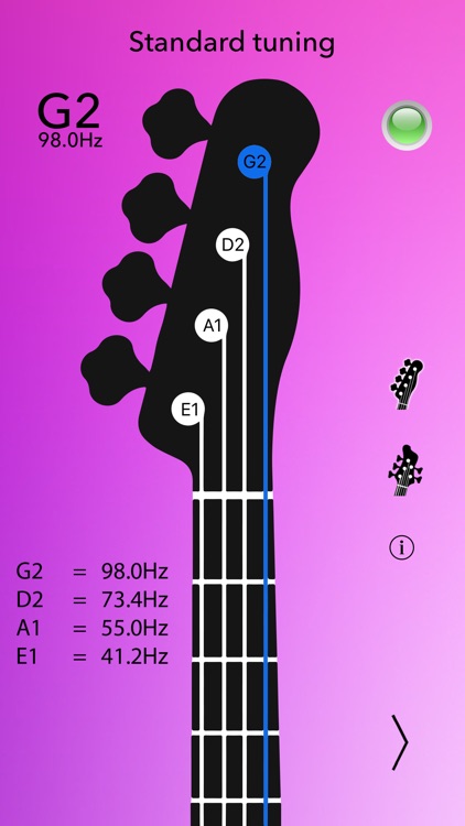 Bass Tuner Professional