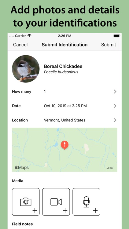 Smart Bird ID screenshot-3