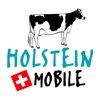 Holstein Mobile