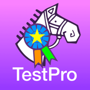 TestPro FEI All Tests