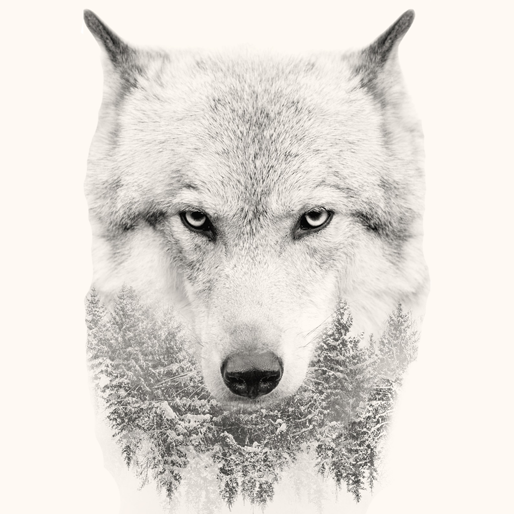 オオカミの壁紙のおすすめアプリ Iphone Applion