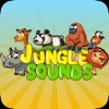 Bingoo Jungle Sounds