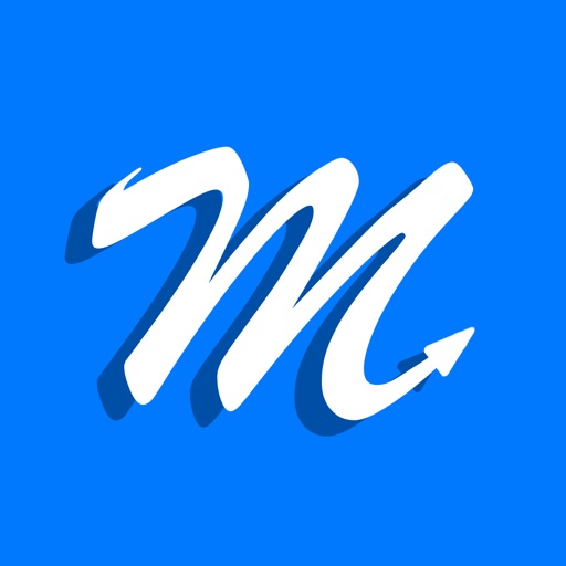 MileWiz 2020 - Car Mileage Log
