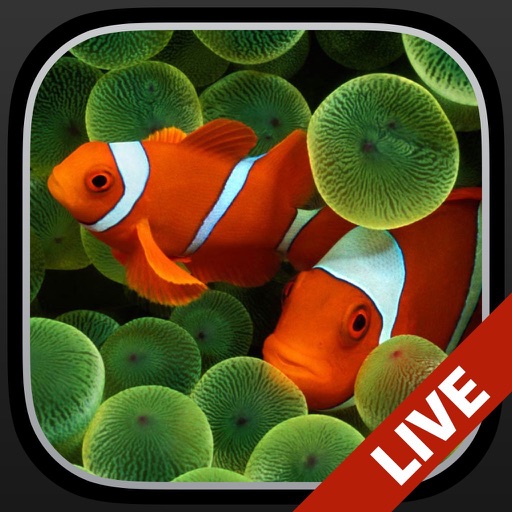 Aquarium Dynamic Wallpapers iOS App