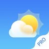 Icon WeatherٞPro