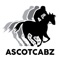 ascot cabz offer comprehensive transport services nationwide – to and from all UK airports, seaports, bus and rail stations