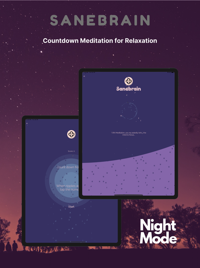 Sanebrain Pro - Strong Mindset