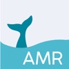 AMR