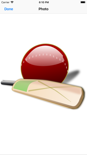 Let's Play Cricket!(圖2)-速報App