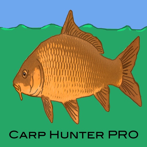 Carp Fishing Pro
