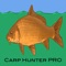 Carp Fishing Pro