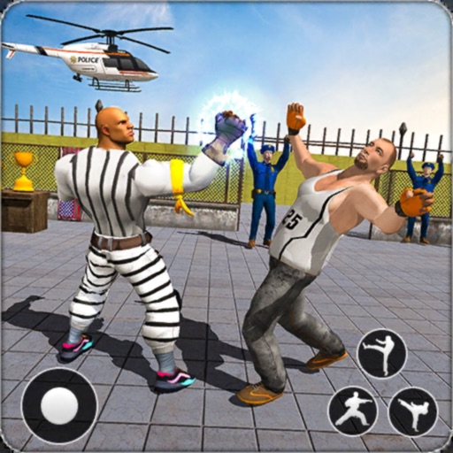 Prison Fight - Street Fighter icon