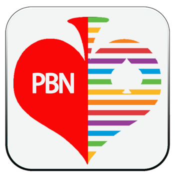 Bridge PBN Viewer  Maker