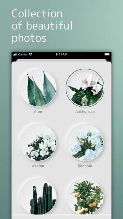 My GreenS screenshot-3
