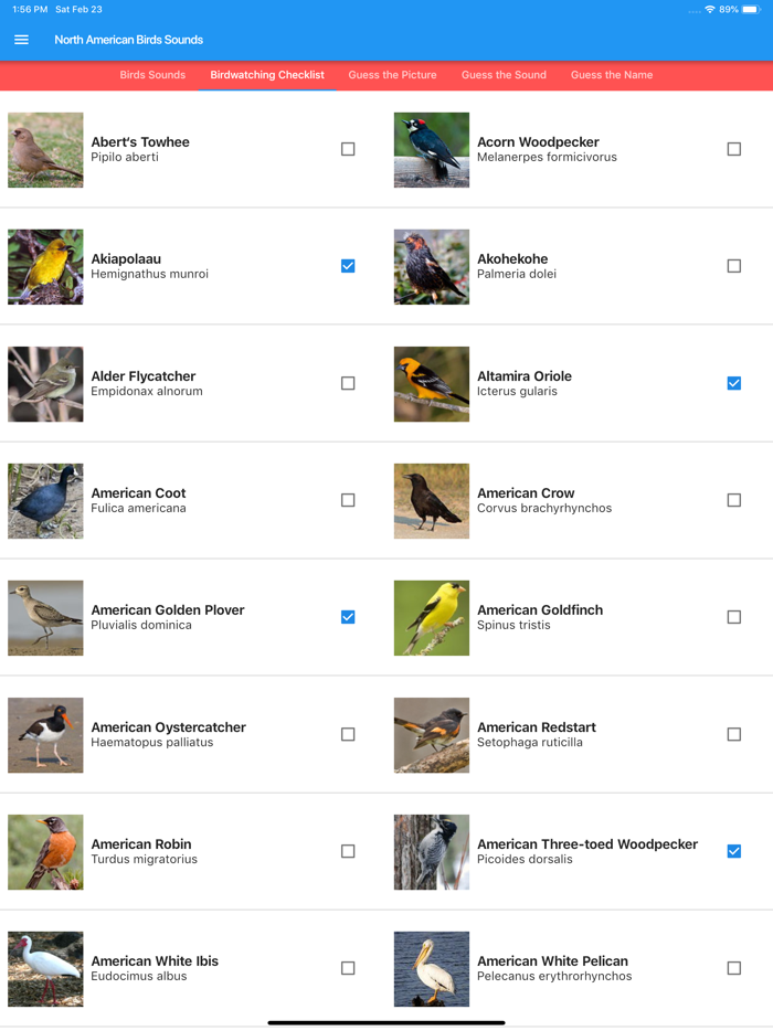 North American Birds Sounds