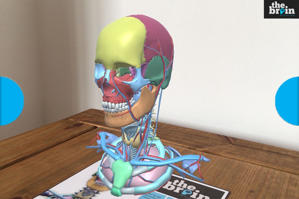 The Brain AR App screenshot 4