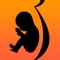 Icon Pregnant Eating