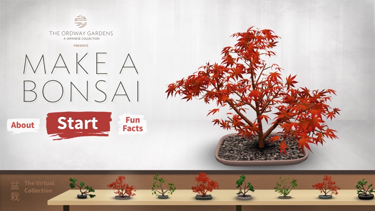 Make a Bonsai screenshot-4