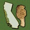 The forests and woodlands of the Pacific Northwest are ecosystems rich with edible wild mushrooms if you know where to look