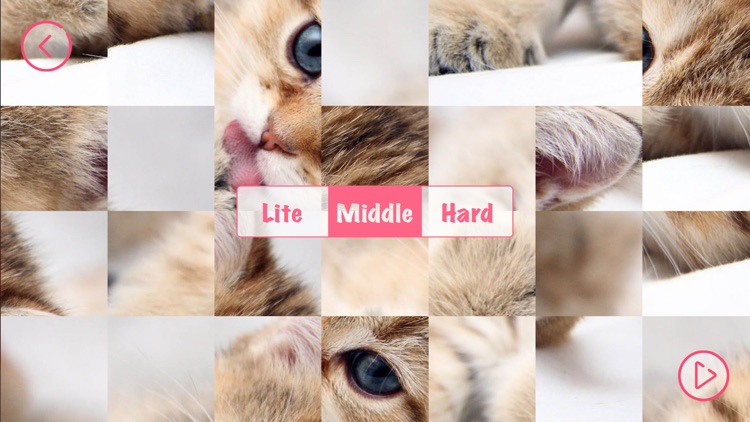 Cute Kittens - Easy Puzzle screenshot-5