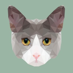 Pixel Art Challenge App