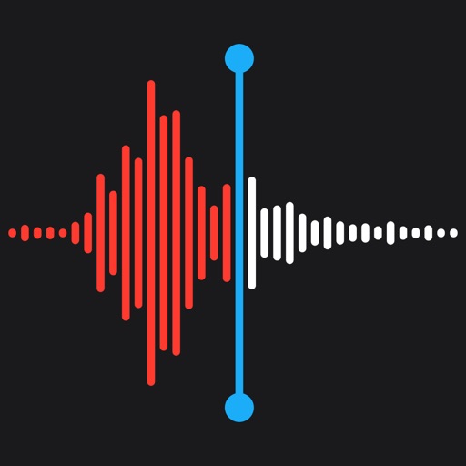 bluetooth voice recorder app