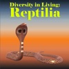 Diversity in Living: Reptilia