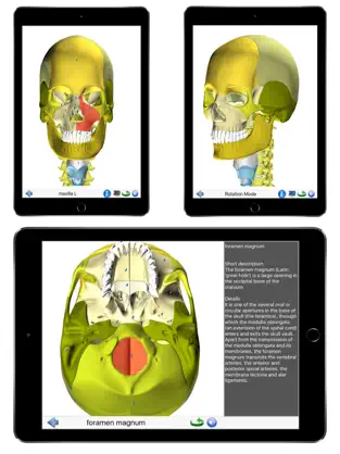 Imágen 9 Visual Anatomy Lite iphone